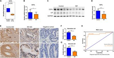 Loss of CDYL Results in Suppression of CTNNB1 and Decreased Endometrial Receptivity